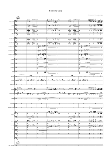 Orchester-Arrangement Bei meiner Seele (Xavier Naidoo), Noten für Orchester, Orchester-Partitur, für Orchester arrangiert, Orchester Partitur